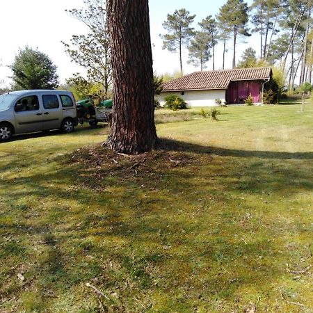 Maison Confortable Avec Terrasse En Bois Au Calme Sans Vis A Vis , 2 Chambres, Sur Un Parc De 4000M2 Arbore Et Clos Pissos Εξωτερικό φωτογραφία
