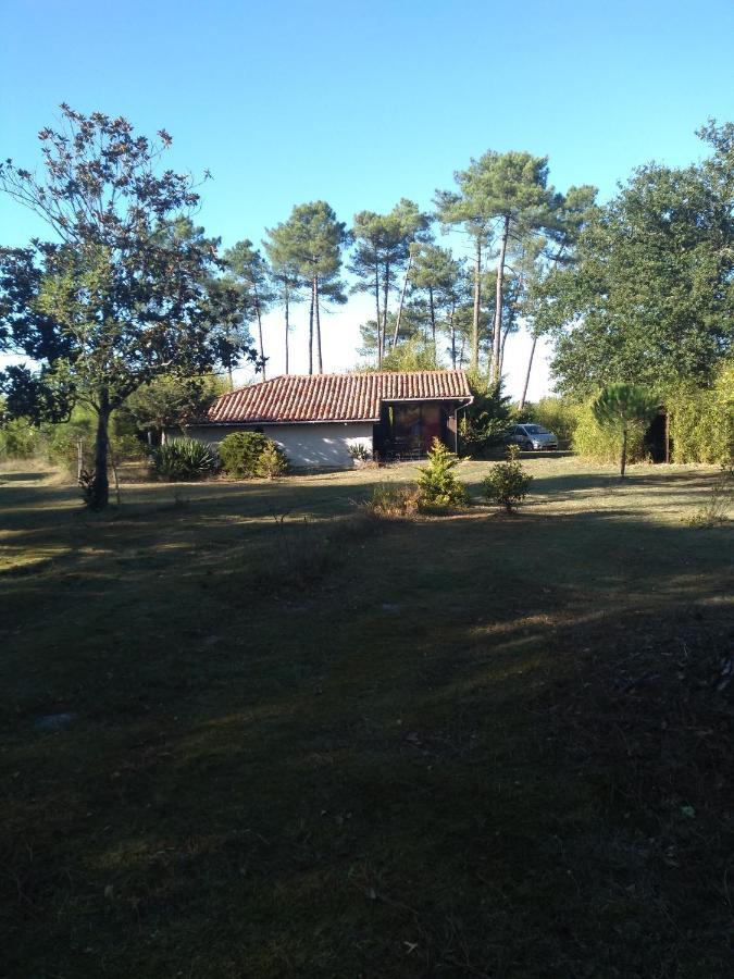 Maison Confortable Avec Terrasse En Bois Au Calme Sans Vis A Vis , 2 Chambres, Sur Un Parc De 4000M2 Arbore Et Clos Pissos Εξωτερικό φωτογραφία